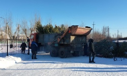 Костанайские школьники спасают ёлки и помогают животным